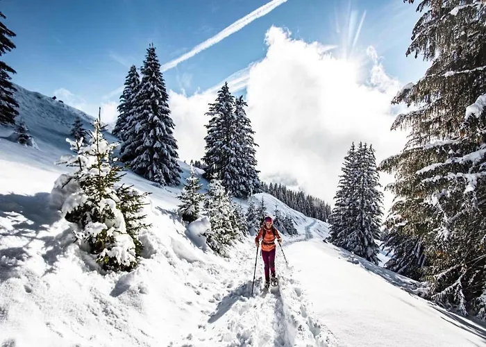 In Azalee Near Linga Gondola * Châtel